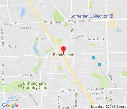 logo-image - birmingham-mi